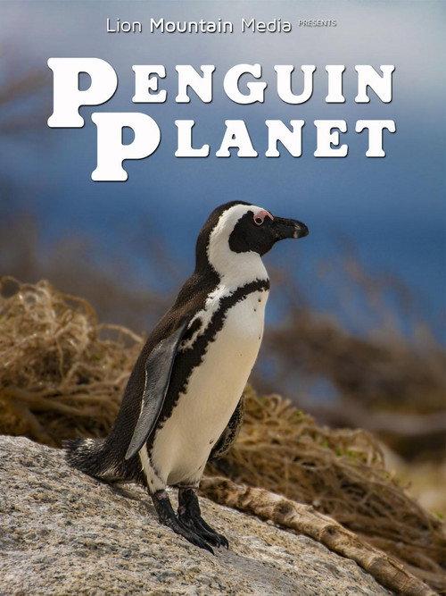 Penguin Planet 2026 official movie poster