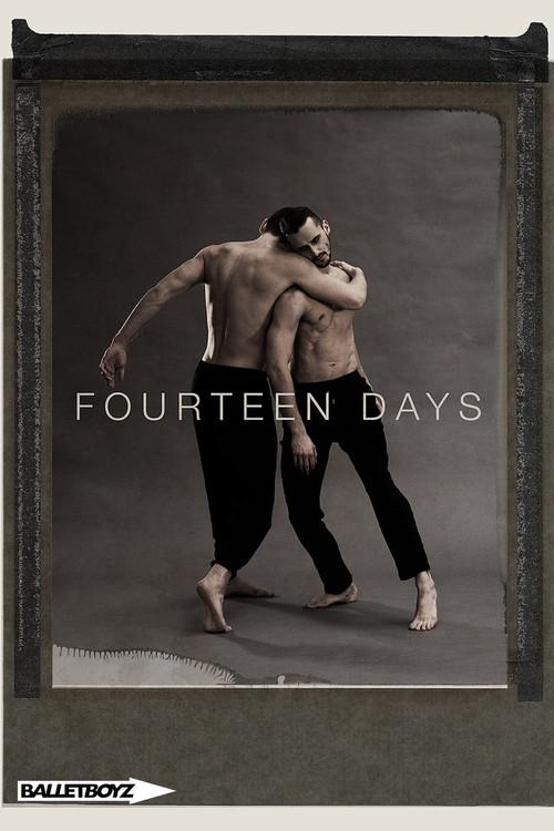 Fourteen Days 2017 official movie poster