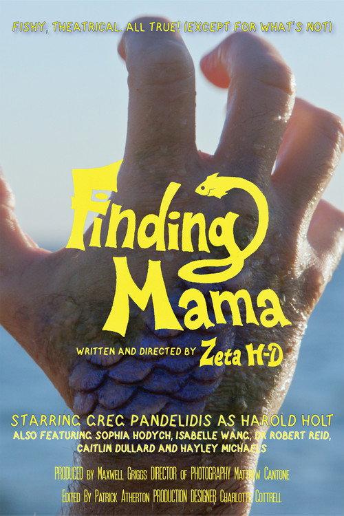 Finding Mama 2026 official movie poster