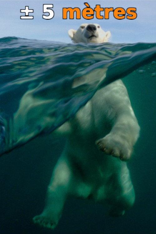 ± 5 Meters From the Surface of the Oceans 2015 official movie poster