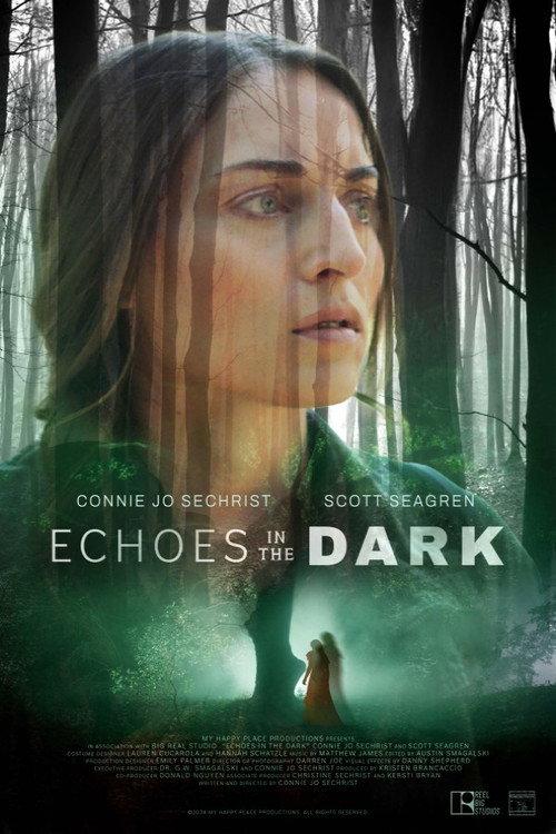 Echoes in the Dark 2024 official movie poster