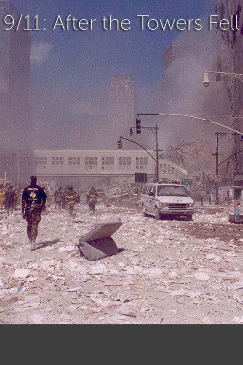 9/11: After The Towers Fell 2010 official movie poster