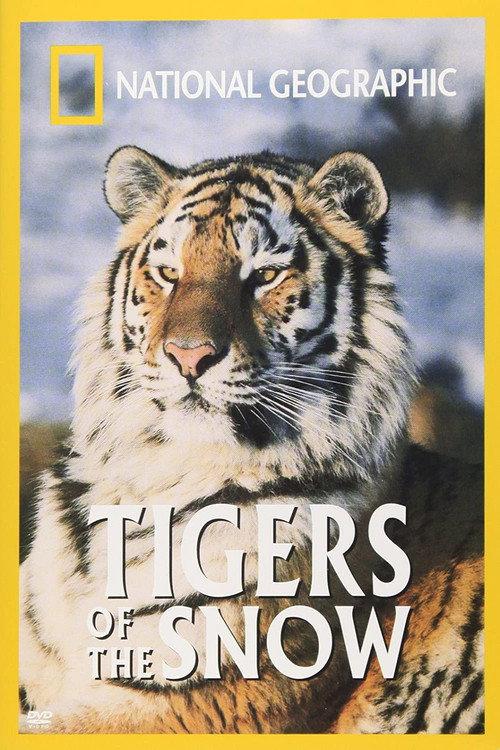 Tigers of the Snow 1997 official movie poster