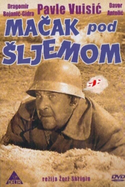 Cat Under a Helmet 1962 official movie poster