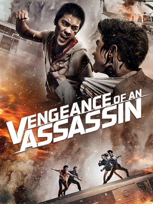 Vengeance of an Assassin 2014 official movie poster