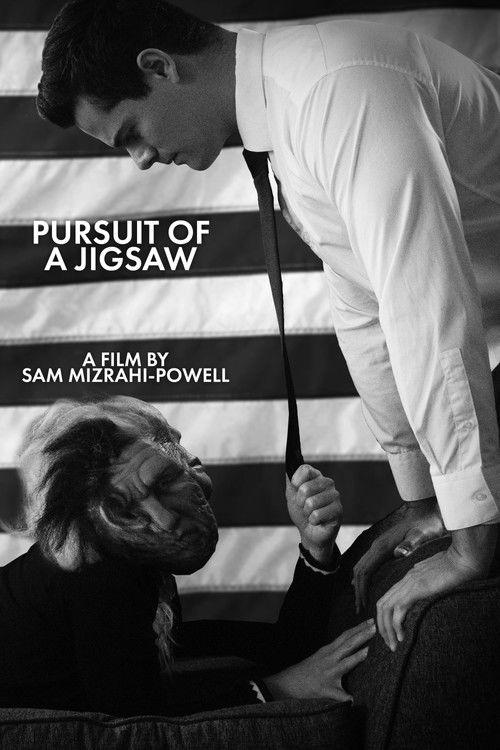 Pursuit Of A Jigsaw 2020 official movie poster