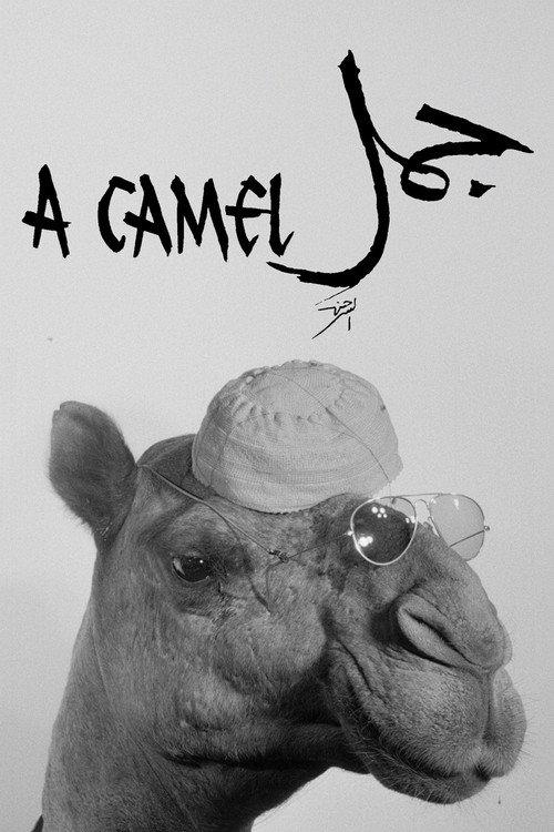 A Camel 1981 official movie poster