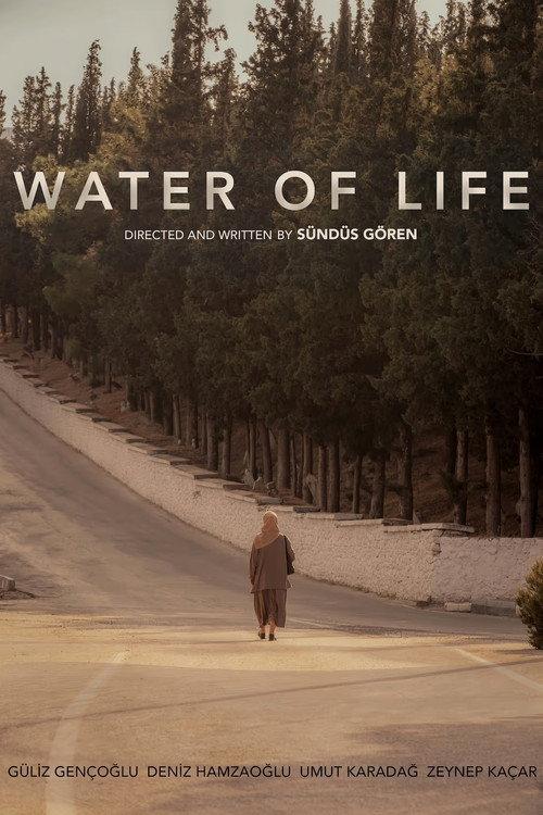 Water of Life 2023 official movie poster