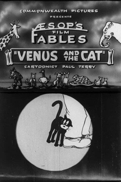 Venus and the Cat 1921 official movie poster