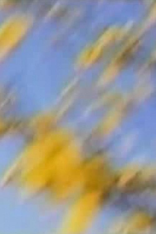 I Want to See How You See 2003 official movie poster