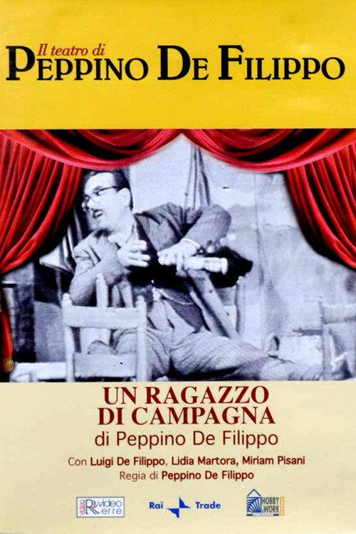 Un ragazzo di campagna 1959 official movie poster