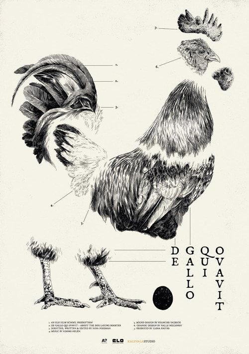 De Gallo Qui Ovavit 2024 official movie poster