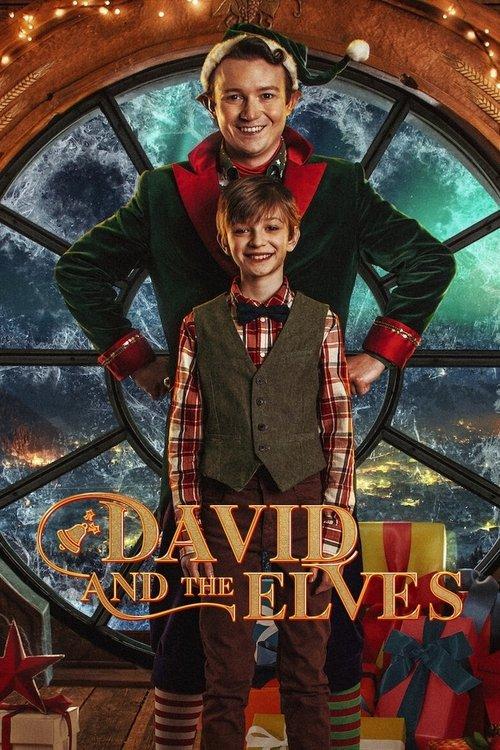 David and the Elves 2021 official movie poster