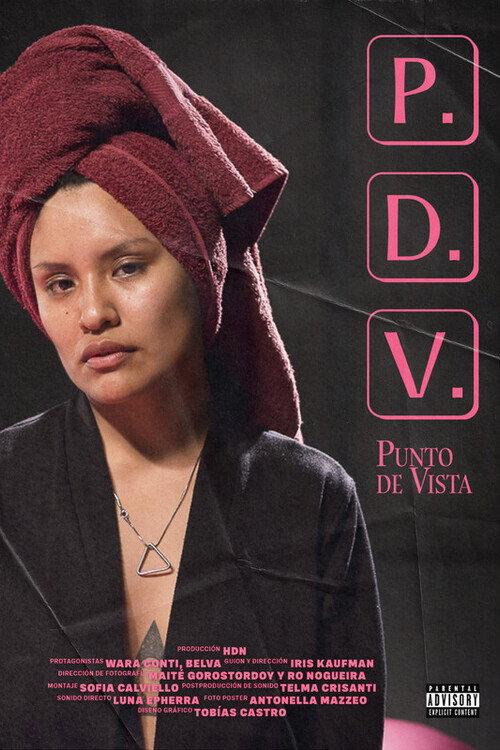 PDV (Punto de vista) 2023 official movie poster