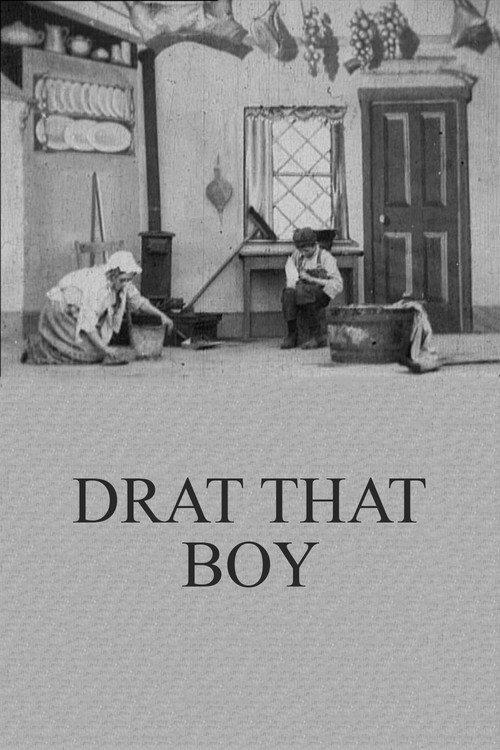 Drat That Boy! 1904 official movie poster