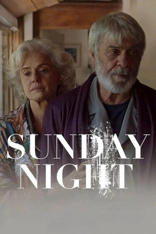 Sunday Night 2024 official movie poster