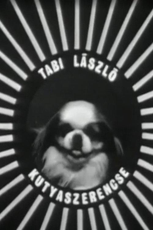 Kutyaszerencse 1967 official movie poster