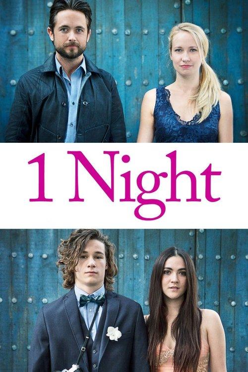 1 Night 2016 official movie poster