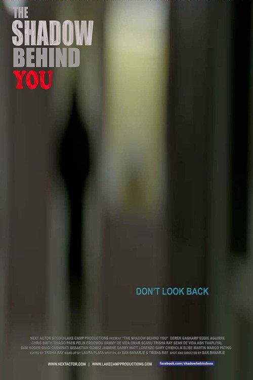 The Shadow Behind You 2015 official movie poster
