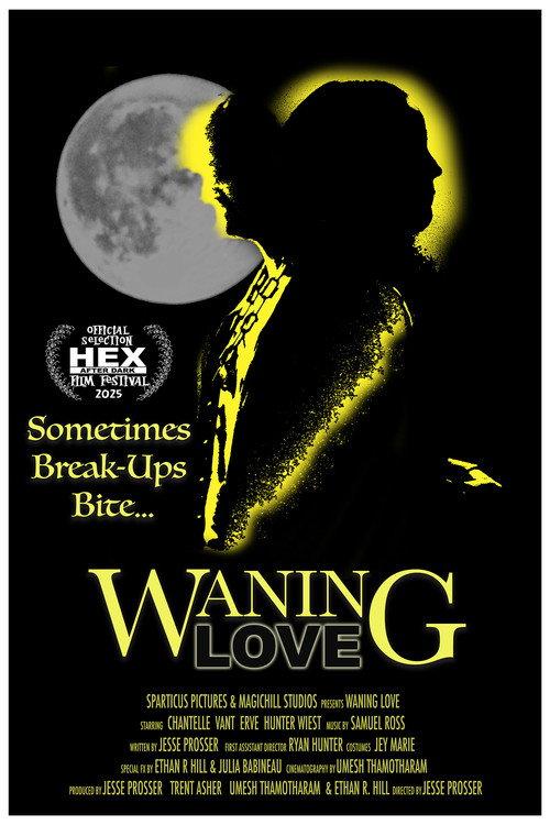 Waning Love official movie poster