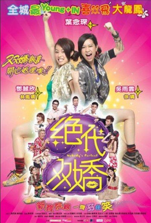 Nobody's Perfect 2008 official movie poster