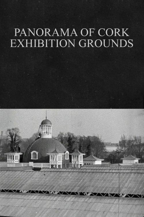 Panorama of Cork Exhibition Grounds 1902 official movie poster