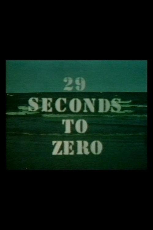 29 Seconds To Zero 1979 official movie poster