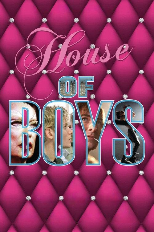 House of Boys 2009 official movie poster