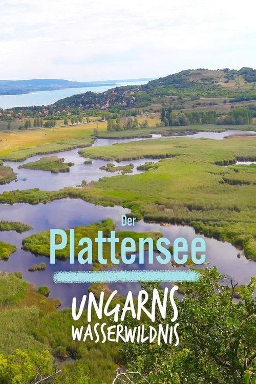 Terra Mater: Der Plattensee - Ungarns Wasserwildnis 2020 official movie poster