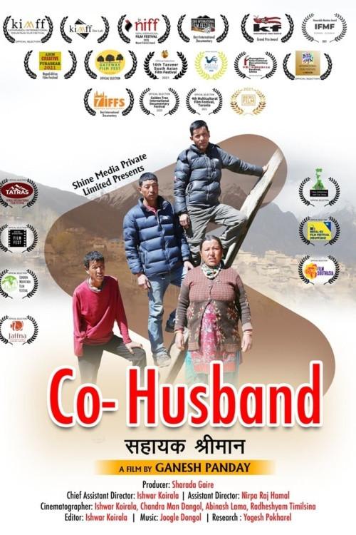 Co-Husband 2020 official movie poster