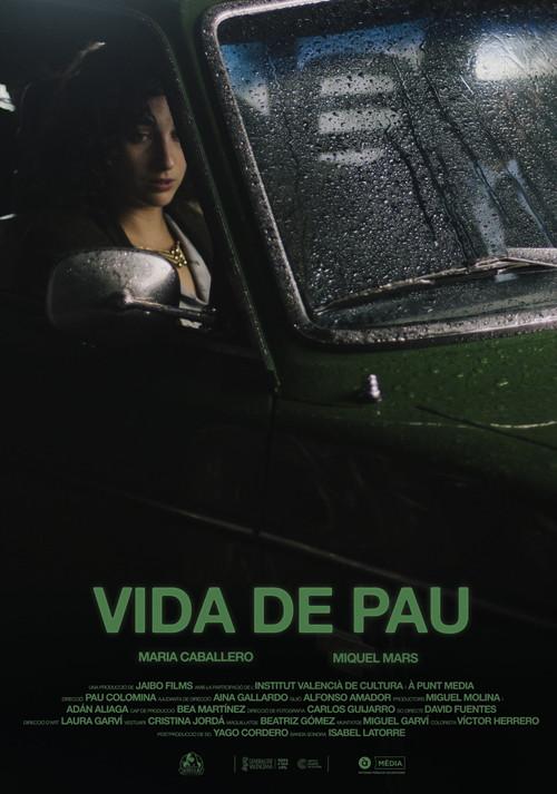 Vida de pau official movie poster
