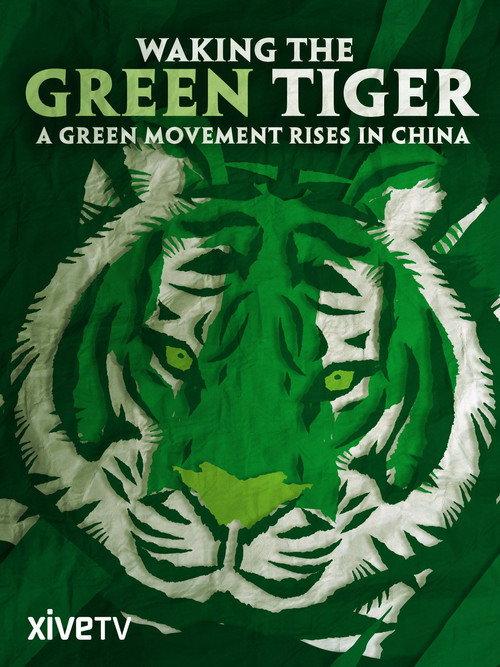 Waking the Green Tiger 2011 official movie poster