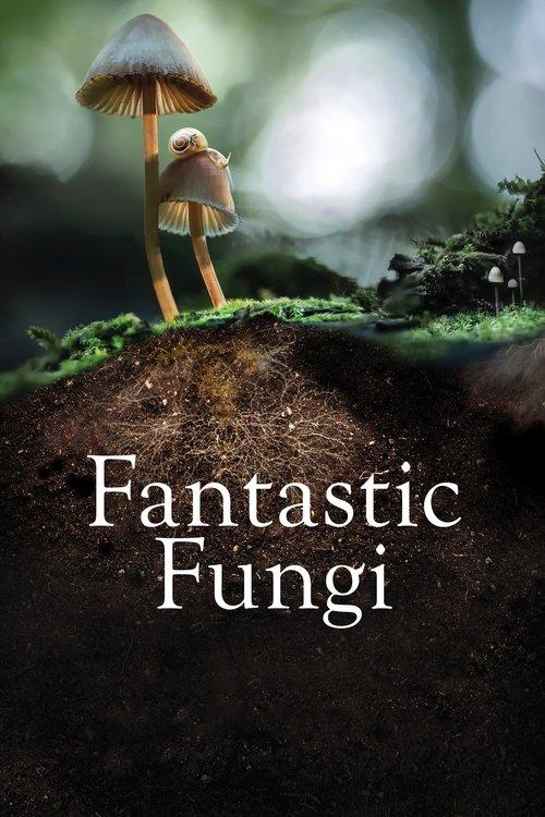 Fantastic Fungi 2019 official movie poster