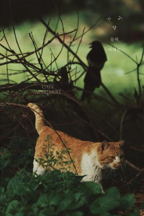 Cats' Apartment 2022 official movie poster