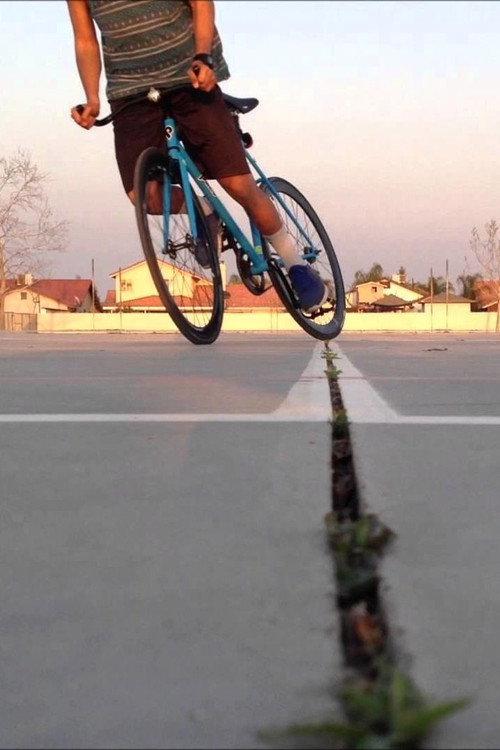 fixie 2008 official movie poster