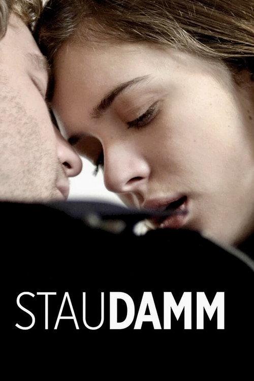 Staudamm 2014 official movie poster