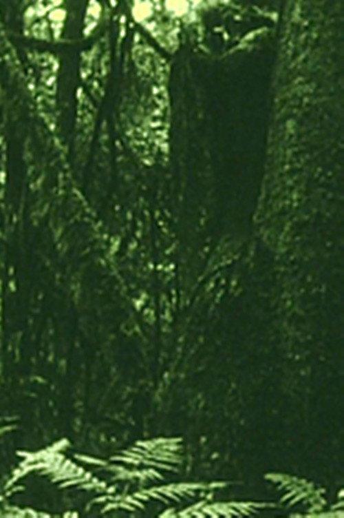 The Eyes in the Woods and the Taste in the Water 2020 official movie poster