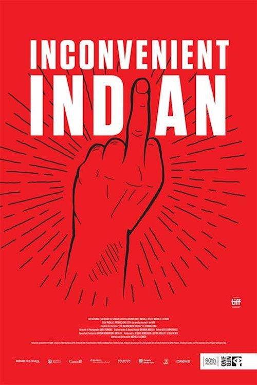 Inconvenient Indian 2020 official movie poster