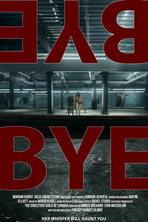 Bye-Bye 2023 official movie poster