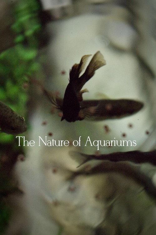 The Nature of Aquariums 2020 official movie poster