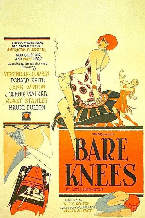 Bare Knees 1928 official movie poster