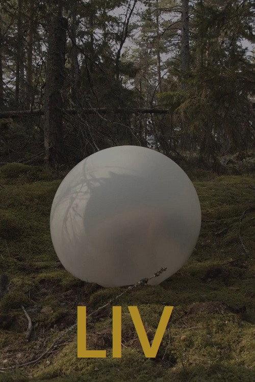 Life 2023 official movie poster