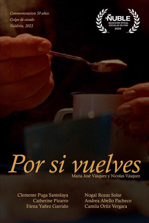 Por si vuelves... 2024 official movie poster