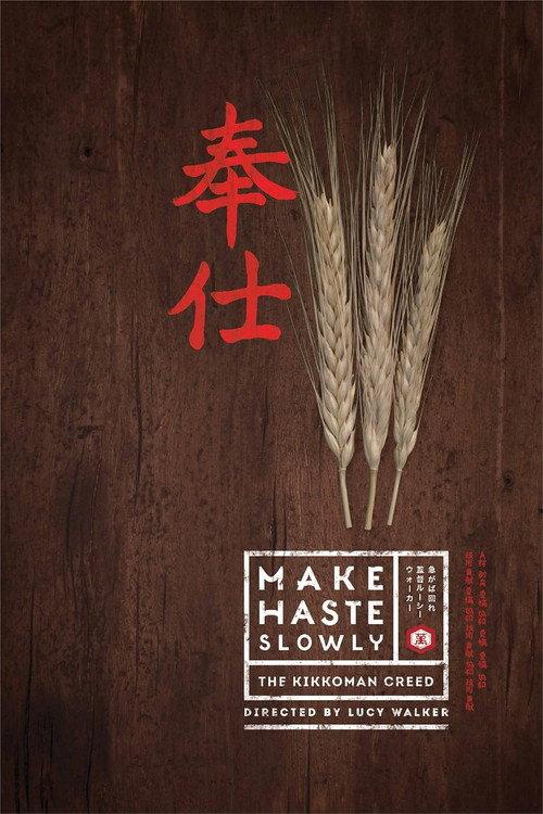 Make Haste Slowly 2012 official movie poster