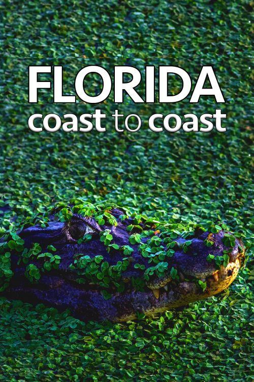 Florida Coast To Coast official movie poster