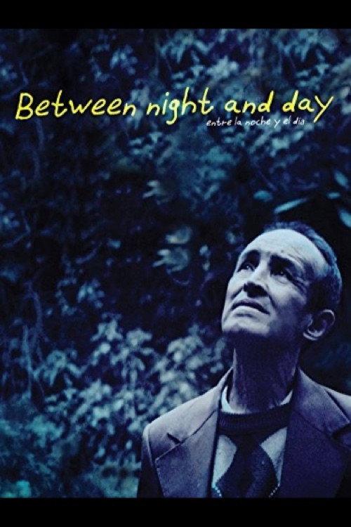 Between Night and Day 2013 official movie poster