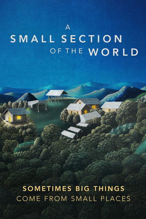 A Small Section of the World 2014 official movie poster