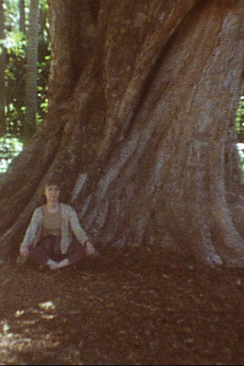 Tree Streets 1995 official movie poster