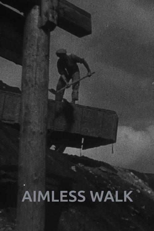 Aimless Walk 2026 official movie poster