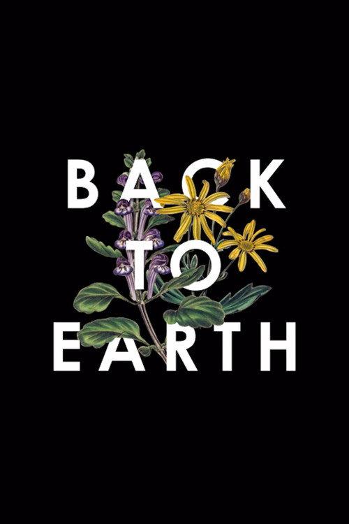 Back to Earth 2014 official movie poster